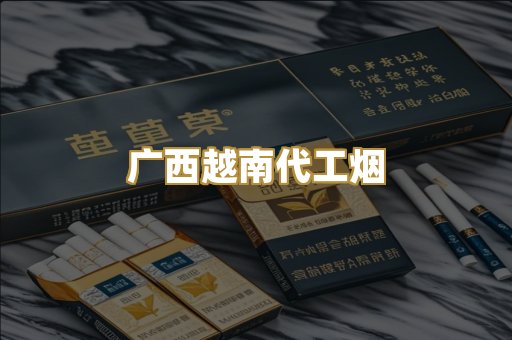 广西越南代工烟